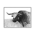 Picture of Big Cattle  _GroupedProduct_Rectangle_Landscape_Canvas_Framed_