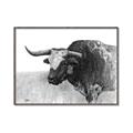 Picture of Big Cattle  _GroupedProduct_Rectangle_Landscape_Canvas_Framed_