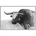 Picture of Big Cattle  _GroupedProduct_Rectangle_Landscape_Canvas_Framed_
