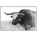 Picture of Big Cattle  _GroupedProduct_Rectangle_Landscape_Canvas_Framed_