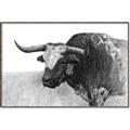 Picture of Big Cattle  _GroupedProduct_Rectangle_Landscape_Canvas_Framed_