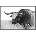 Picture of Big Cattle  _GroupedProduct_Rectangle_Landscape_Canvas_Framed_