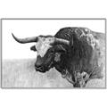 Picture of Big Cattle  _GroupedProduct_Rectangle_Landscape_Canvas_Framed_