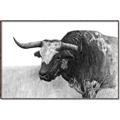 Picture of Big Cattle  _GroupedProduct_Rectangle_Landscape_Canvas_Framed_