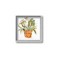 Picture of Palm Plant _GroupedProduct_Square_Canvas_Framed_
