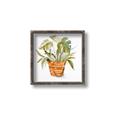 Picture of Palm Plant _GroupedProduct_Square_Canvas_Framed_