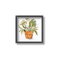 Picture of Palm Plant _GroupedProduct_Square_Canvas_Framed_