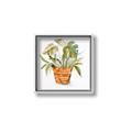Picture of Palm Plant _GroupedProduct_Square_Canvas_Framed_