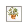Picture of Palm Plant _GroupedProduct_Square_Canvas_Framed_