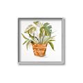 Picture of Palm Plant _GroupedProduct_Square_Canvas_Framed_