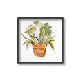 Picture of Palm Plant _GroupedProduct_Square_Canvas_Framed_