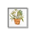Picture of Palm Plant _GroupedProduct_Square_Canvas_Framed_