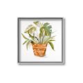 Picture of Palm Plant _GroupedProduct_Square_Canvas_Framed_