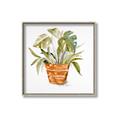 Picture of Palm Plant _GroupedProduct_Square_Canvas_Framed_