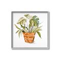 Picture of Palm Plant _GroupedProduct_Square_Canvas_Framed_
