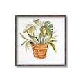 Picture of Palm Plant _GroupedProduct_Square_Canvas_Framed_