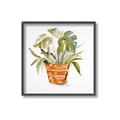 Picture of Palm Plant _GroupedProduct_Square_Canvas_Framed_