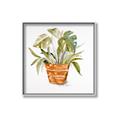 Picture of Palm Plant _GroupedProduct_Square_Canvas_Framed_
