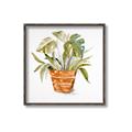 Picture of Palm Plant _GroupedProduct_Square_Canvas_Framed_