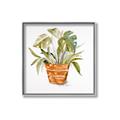 Picture of Palm Plant _GroupedProduct_Square_Canvas_Framed_