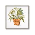 Picture of Palm Plant _GroupedProduct_Square_Canvas_Framed_