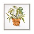 Picture of Palm Plant _GroupedProduct_Square_Canvas_Framed_