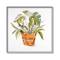 Picture of Palm Plant _GroupedProduct_Square_Canvas_Framed_