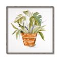 Picture of Palm Plant _GroupedProduct_Square_Canvas_Framed_