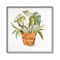 Picture of Palm Plant _GroupedProduct_Square_Canvas_Framed_