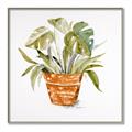 Picture of Palm Plant _GroupedProduct_Square_Canvas_Framed_