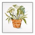 Picture of Palm Plant _GroupedProduct_Square_Canvas_Framed_
