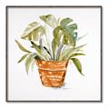 Picture of Palm Plant _GroupedProduct_Square_Canvas_Framed_