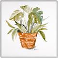 Picture of Palm Plant _GroupedProduct_Square_Canvas_Framed_