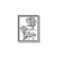 Picture of Hydrangea Sketch  _GroupedProduct_Rectangle_Portrait_Canvas_Framed_