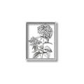 Picture of Hydrangea Sketch  _GroupedProduct_Rectangle_Portrait_Canvas_Framed_