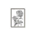 Picture of Hydrangea Sketch  _GroupedProduct_Rectangle_Portrait_Canvas_Framed_