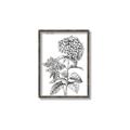 Picture of Hydrangea Sketch  _GroupedProduct_Rectangle_Portrait_Canvas_Framed_