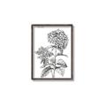 Picture of Hydrangea Sketch  _GroupedProduct_Rectangle_Portrait_Canvas_Framed_
