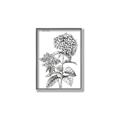 Picture of Hydrangea Sketch  _GroupedProduct_Rectangle_Portrait_Canvas_Framed_