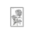 Picture of Hydrangea Sketch  _GroupedProduct_Rectangle_Portrait_Canvas_Framed_