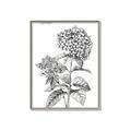 Picture of Hydrangea Sketch  _GroupedProduct_Rectangle_Portrait_Canvas_Framed_