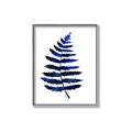 Picture of Indigo Fern  _GroupedProduct_Rectangle_Portrait_Canvas_Framed_