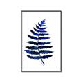 Picture of Indigo Fern  _GroupedProduct_Rectangle_Portrait_Canvas_Framed_