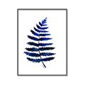 Picture of Indigo Fern  _GroupedProduct_Rectangle_Portrait_Canvas_Framed_