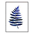 Picture of Indigo Fern  _GroupedProduct_Rectangle_Portrait_Canvas_Framed_