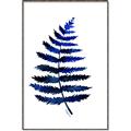 Picture of Indigo Fern  _GroupedProduct_Rectangle_Portrait_Canvas_Framed_