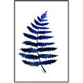 Picture of Indigo Fern  _GroupedProduct_Rectangle_Portrait_Canvas_Framed_