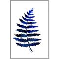Picture of Indigo Fern  _GroupedProduct_Rectangle_Portrait_Canvas_Framed_