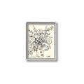 Picture of Drawn Florals III  _GroupedProduct_Rectangle_Portrait_Canvas_Framed_