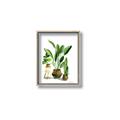 Picture of House Plants I  _GroupedProduct_Rectangle_Portrait_Canvas_Framed_